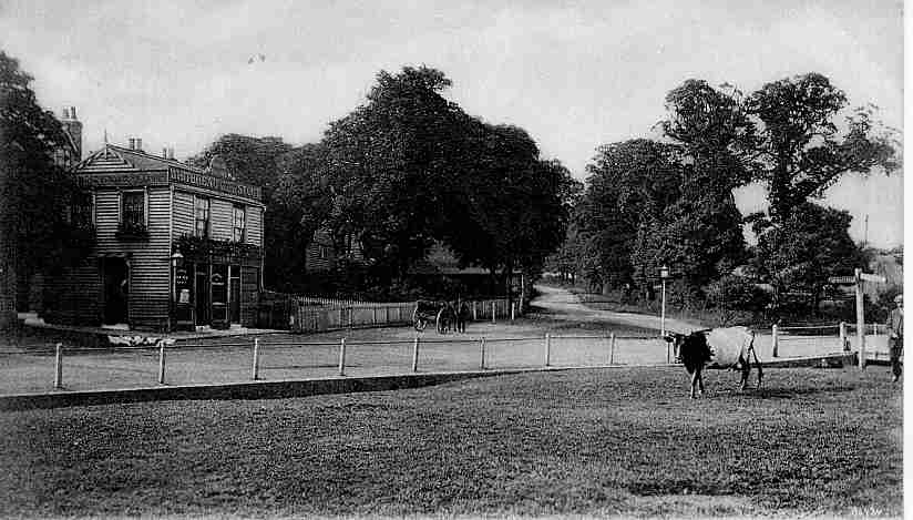 Dun Cow, Chingford Hatch 1905